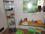 Výlet Dobrovice - Bez práce nejsou koláče